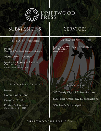 Screenshot of Driftwood Press' 2023 Submission Opportunities flyer for In-House Contest Extended Deadline