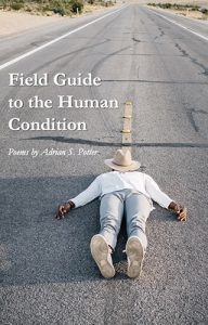 Field Guide to the Human Condition by Adrian S. Potter book cover image