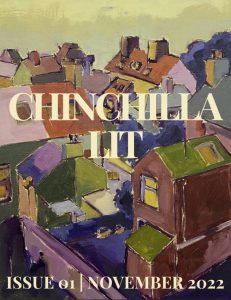 Chinchilla Lit November 2022 cover image