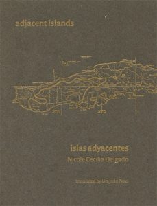 adjacent islands by Nicole Cecilia Delgado book cover image