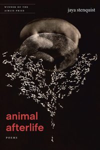 Animal Afterlife by Jaya Stenquist book cover image