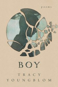 Boy by Tracy Youngblom book cover image