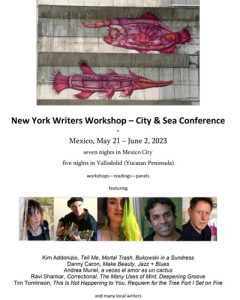 Screenshot of the New York Writers Workshop flyer for the NewPages eLitPak