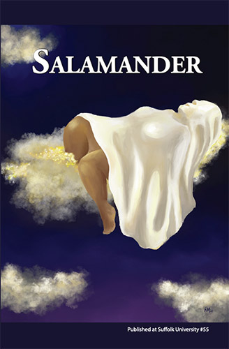 Salamander 55 cover image