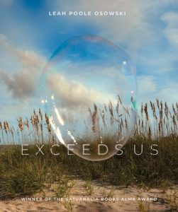 Exceeds Us by Leah Poole Osowski book cover image