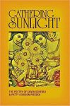 Gathering Sunlight by Silvia Scheibli & Patty Dickson Pieczka book cover image