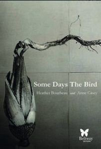 Some Days the Bird by Heather Bourbeau and Anne Casey book cover image