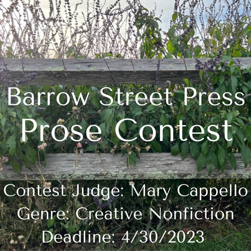 Flyer for Barrow Street Press 2023 Prose Book Contest deadline extension