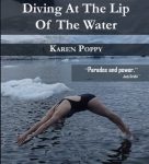 Diving at the Lip of the Water by Karen Poppy book cover image