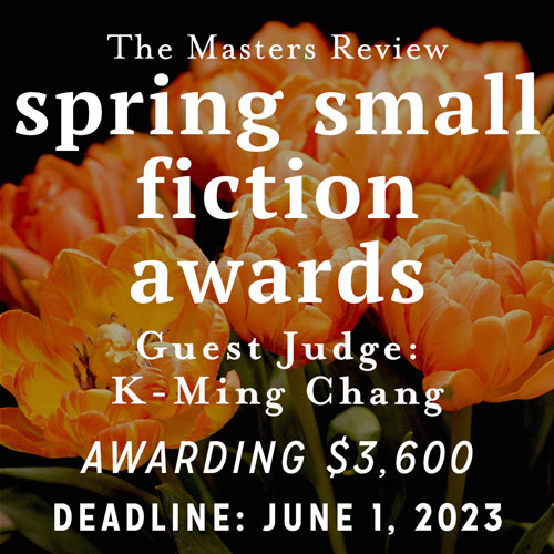 The Masters Review 2023 Spring Small Fiction Awards banner