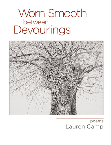 Worn Smooth Between Devourings: Poems by Lauren Camp book cover image