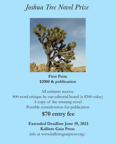 2023 Joshua Tree Novel Prize deadline extension flyer screenshot