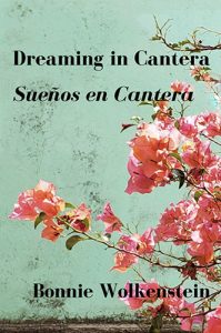 Dreaming in Cantera / Sueños en Cantera: Poems by Bonnie Wolkenstein book cover image