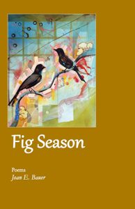 Fig Season: Poems by Joan E. Bauer book cover image