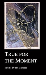 True for the Moment: Poems by Ian Ganassi book cover image