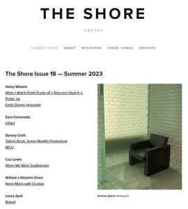 The Shore Issue 18 cover image