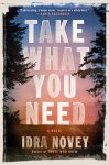 Take What You Need by Idra Novey book cover image