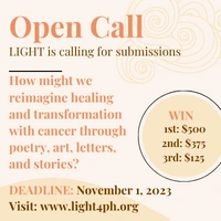 banner ad for LIGHT Issue 3 call for submissions