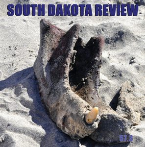 South Dakota Review Issue 57.4 cover image