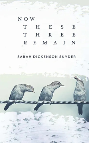 Now These Three Remain by Sarah Dickenson Snyder book cover image