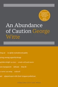 cover of An Abundance of Caution, a book by George Witte