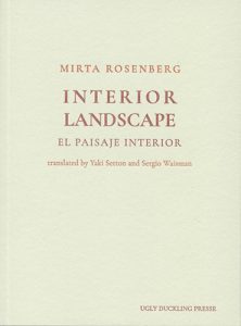 Interior Landscape by Mirta Rosenberg book cover image