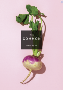 The Common Issue 26 cover image