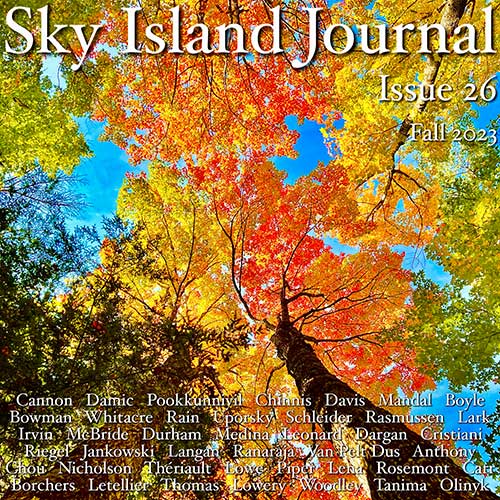 Sky Island Journal - Fall 2023 cover image