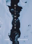 Meltwater by Claire Wahmanholm book cover image