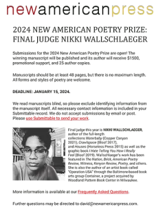 Screenshot of the 2024 New American Poetry Prize flyer