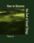 How to Become the God of Small Things by Fiona Lu book cover image