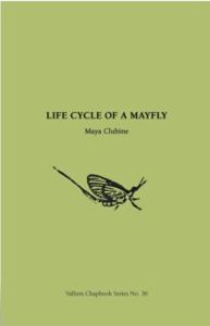 Life Cycle of the Mayfly by Maya Clubine book cover image
