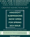 screenshot of Hindsight 2024 issue call for submissions flyer