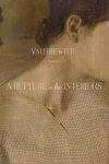 A Rupture in the Interiors by Valerie Witte book cover image