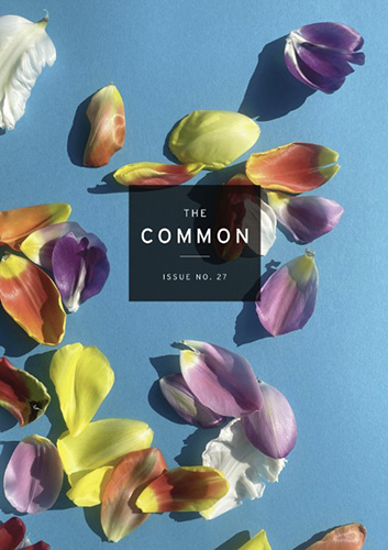 The Common issue 27 cover image