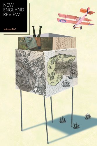 New England Review issue 46.1 cover image