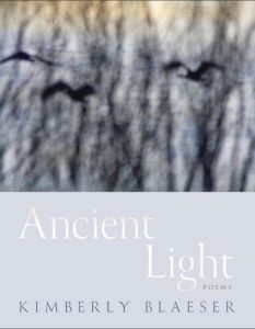 Ancient Light by Kimberly Blaeser book cover image