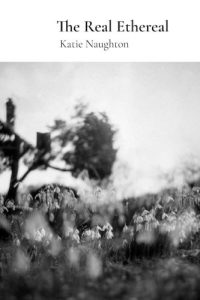 The Real Ethereal by Katie Naughton book cover image