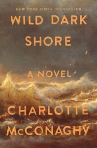 Wild Dark Shore by Charlotte McConaghy book cover image