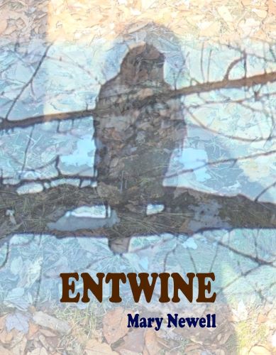 ENTWINE by Mary Newell book cover image