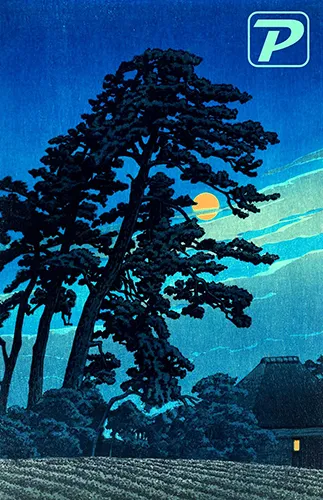 A collage of literary elements: an open book with handwritten notes, a vintage typewriter, scattered black-and-white photographs, and abstract artwork in bold colors, symbolizing creativity and diverse voices.