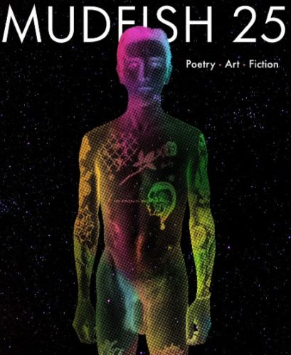 Mudfish 25 literary magazine cover image