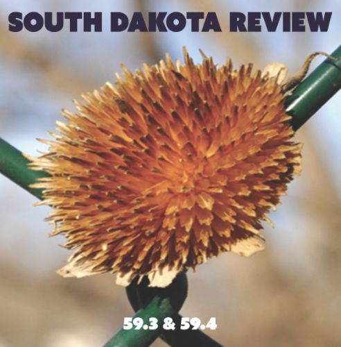 South Dakota Review 59.3 & 59.4 literary magazine cover image