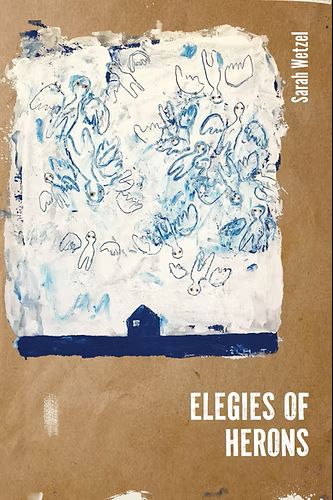 Elegies of Herons by Sarah Wetzel book cover image