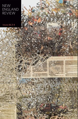 New England Review double issue 46.3-4 cover image