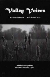 Valley Voices Fall 2025 literary magazine cover image