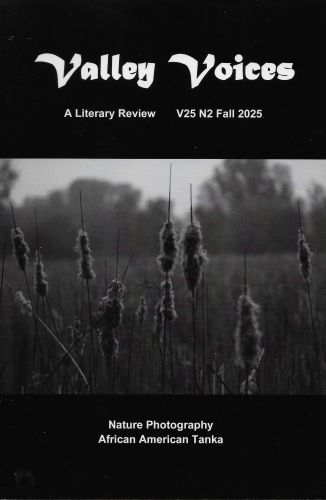 Valley Voices Fall 2025 literary magazine cover image