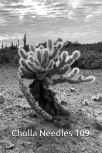 Cholla Needles January 2026 literary magazine cover image 