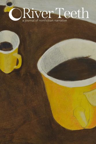 River Teeth Fall 2025 literary magazine cover image