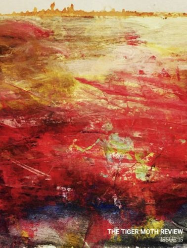 The Tiger Moth Review Issue 15 literary magazine cover image